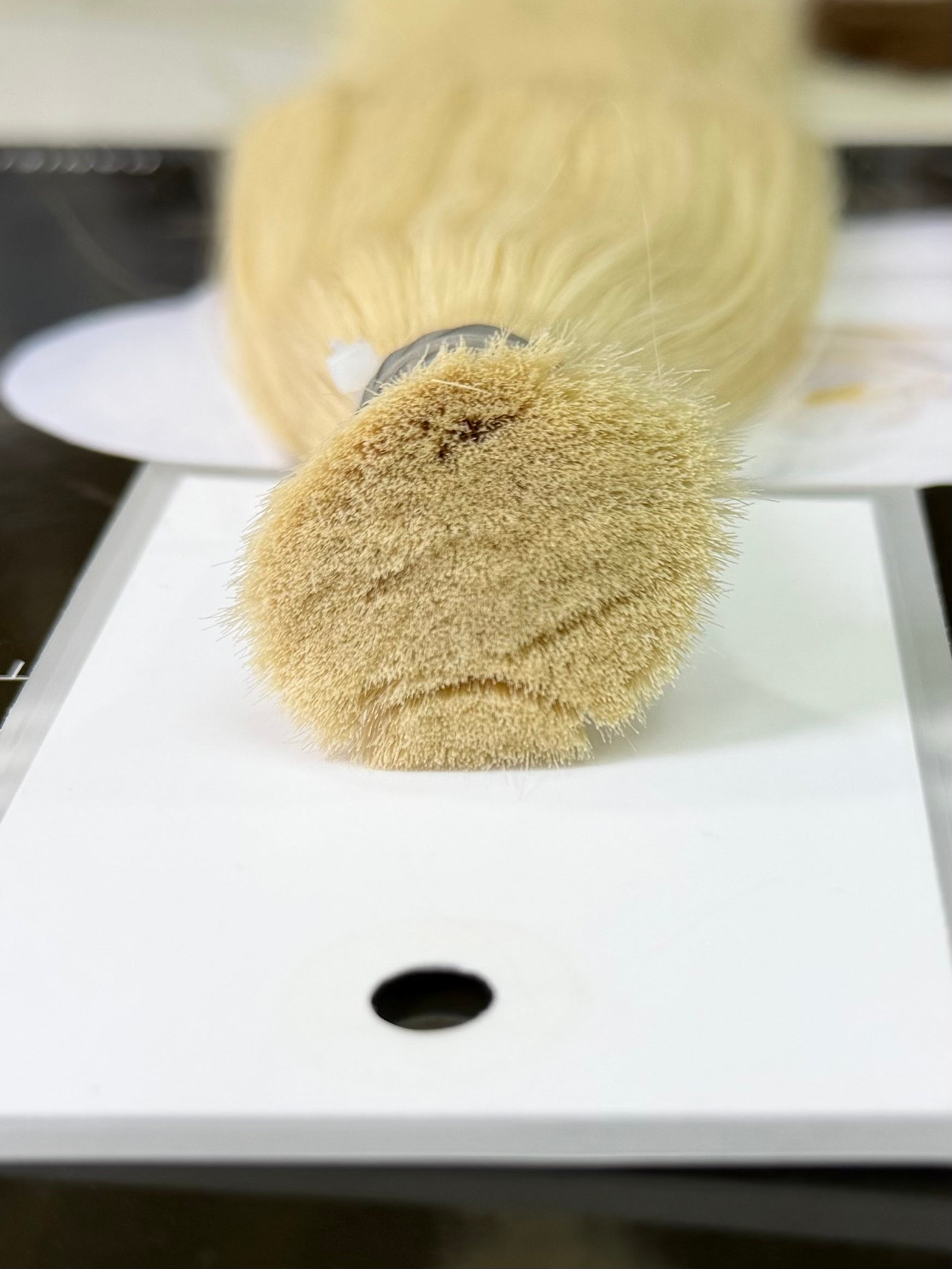 Premium Slavic Colored Hair Blonde Straight Bulk 20 Inch | LuxHairNYC